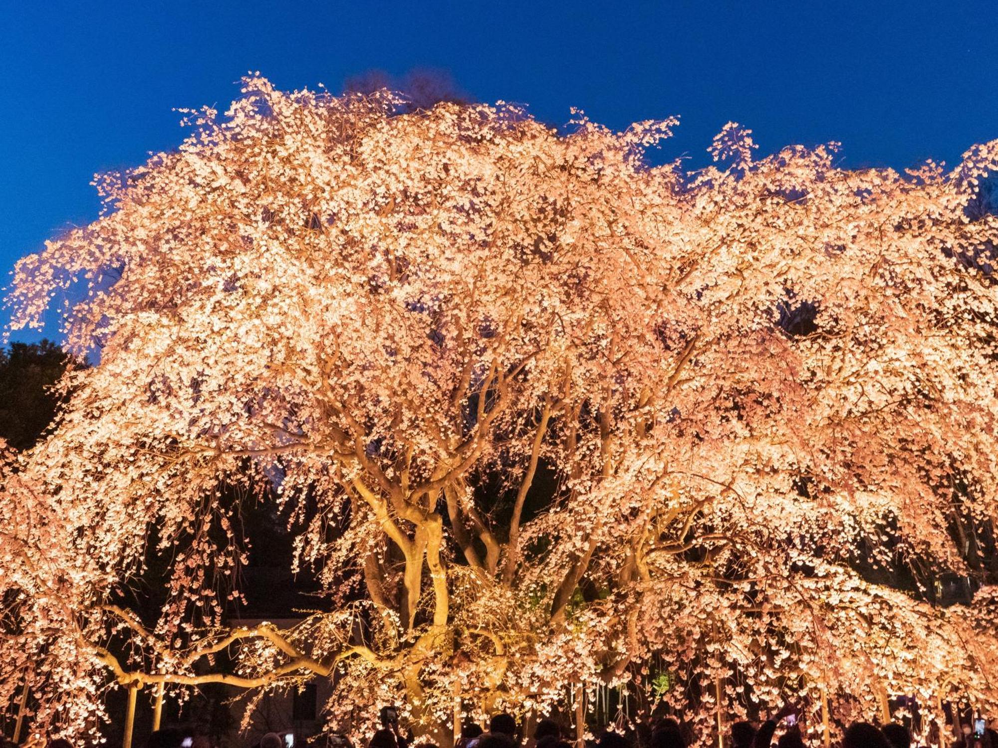 ホテルリソル池袋
